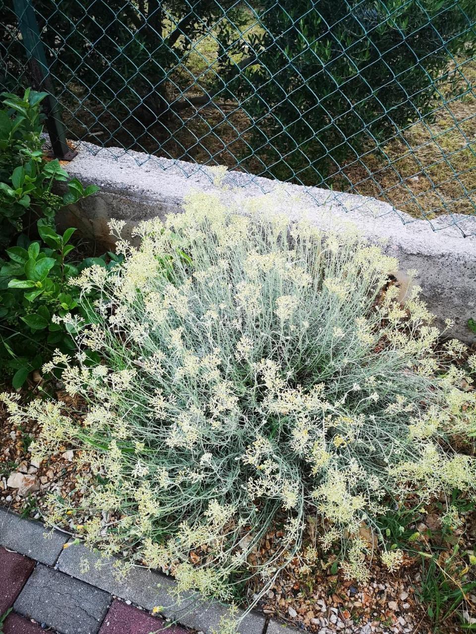 Apartment Zekija Barbat na Rabu Εξωτερικό φωτογραφία