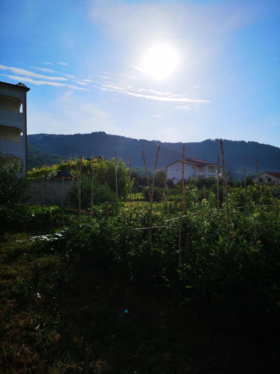 Apartment Zekija Barbat na Rabu Εξωτερικό φωτογραφία
